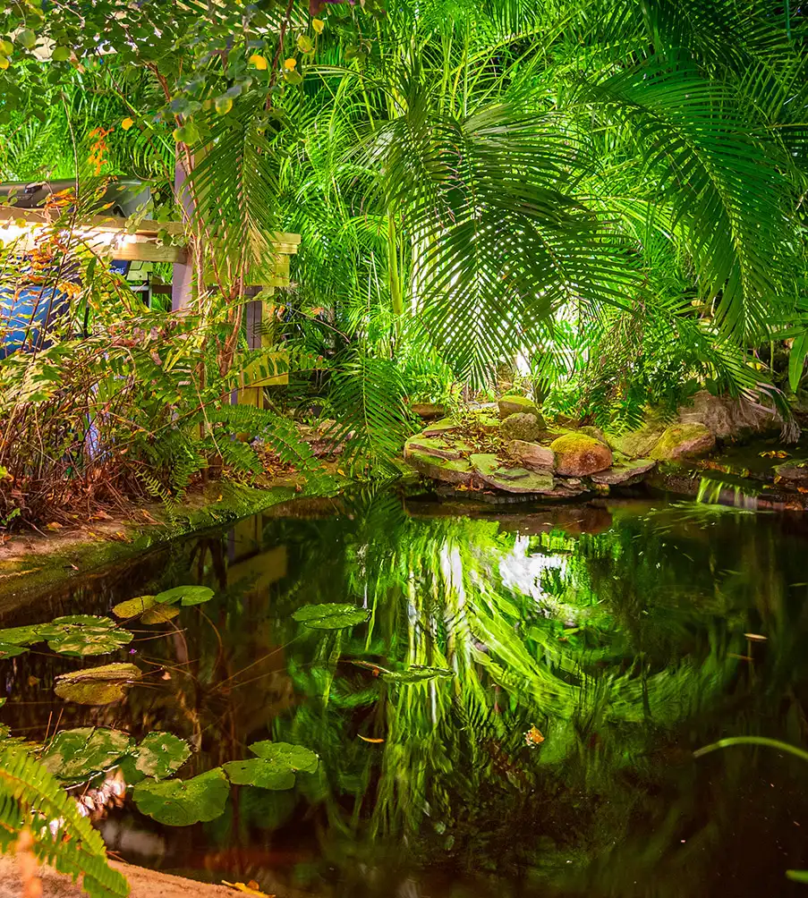 Garden Pond