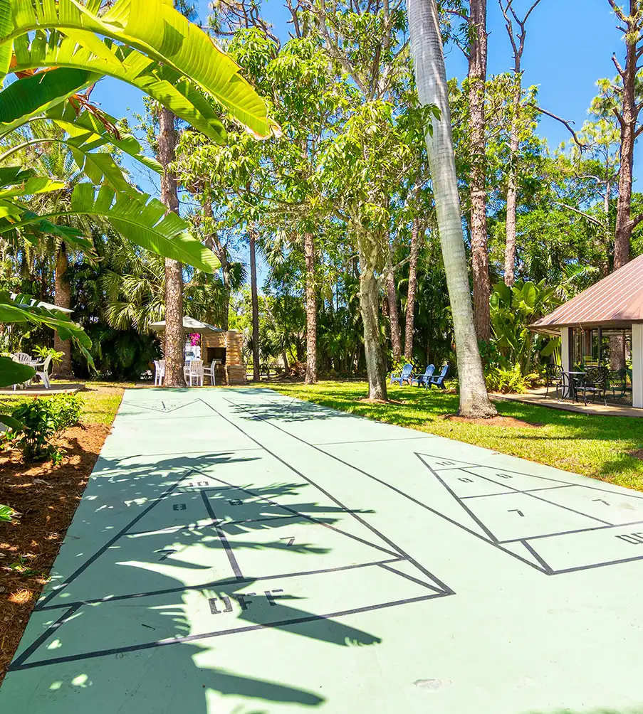 Shuffleboard Court