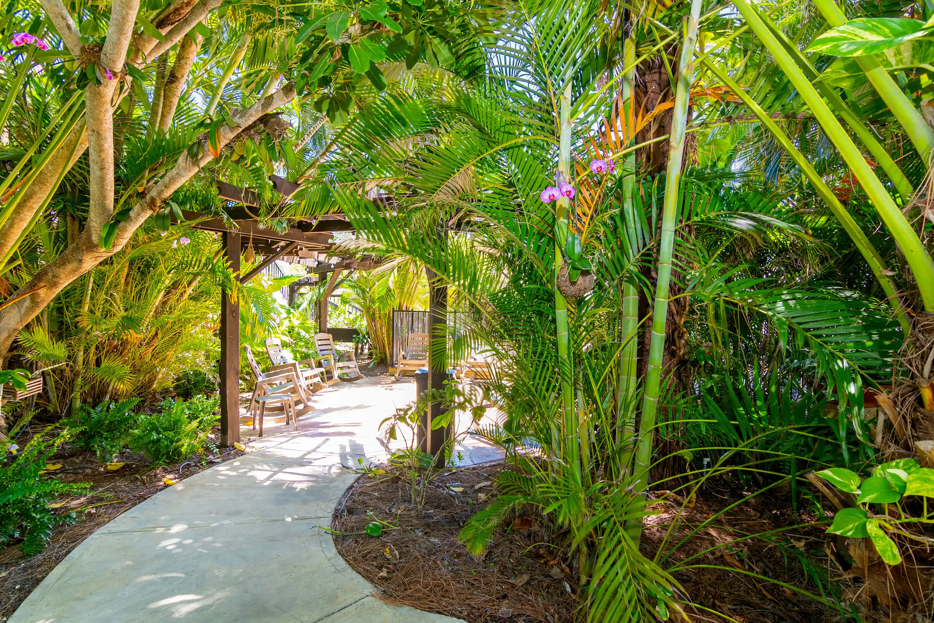 Garden Pathway