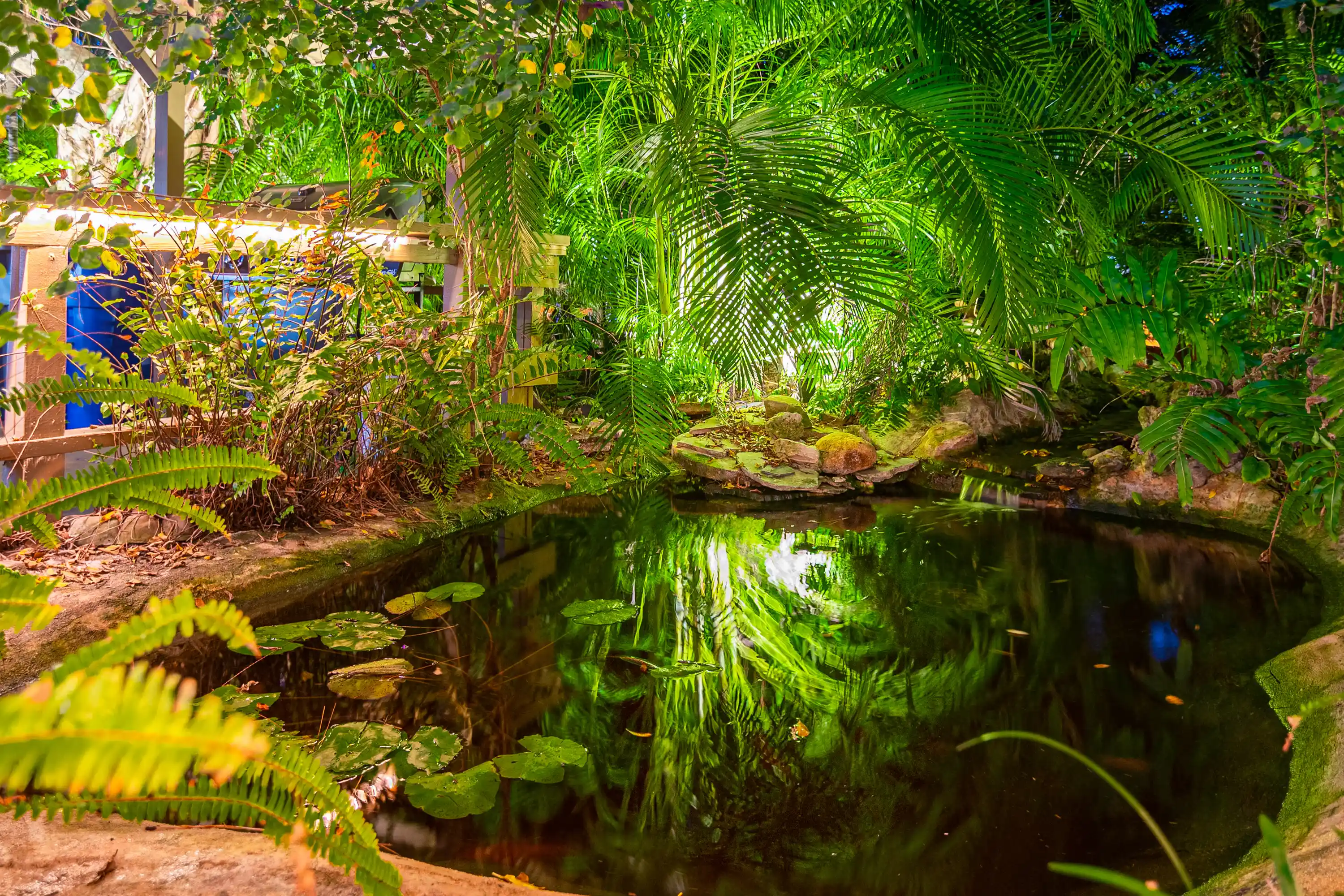 Garden Pond