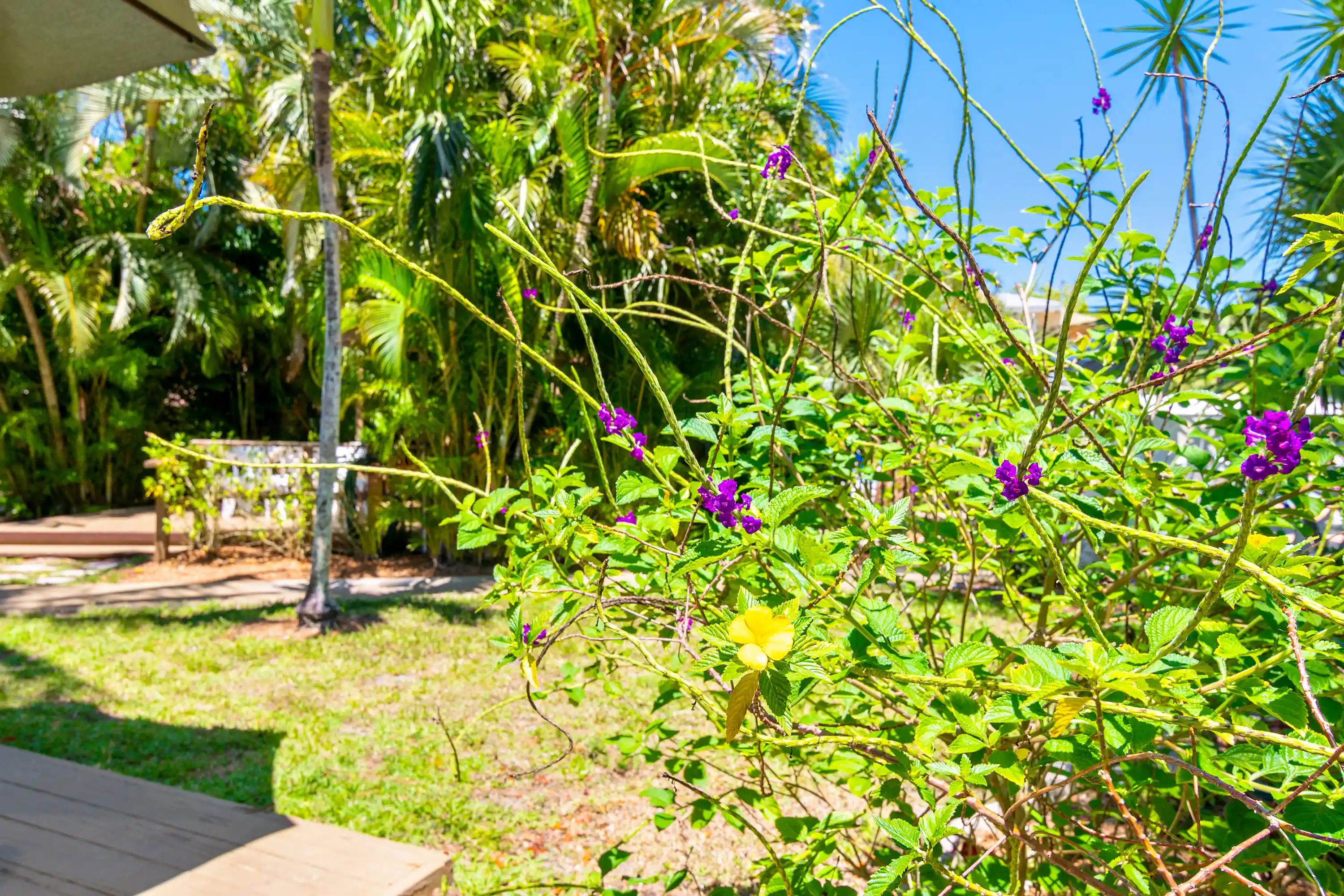 Outdoor Garden Retreat