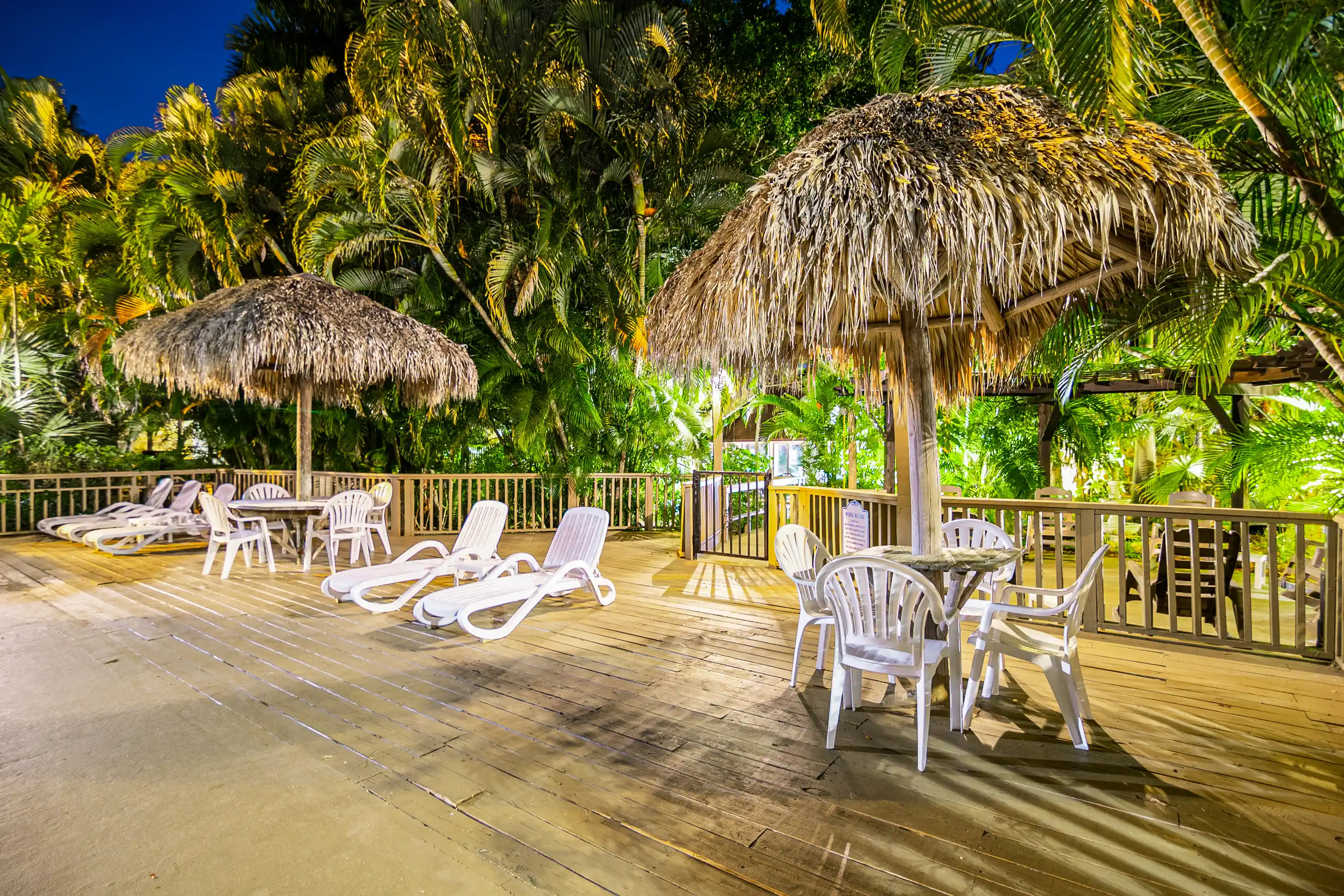Poolside Palm Trees