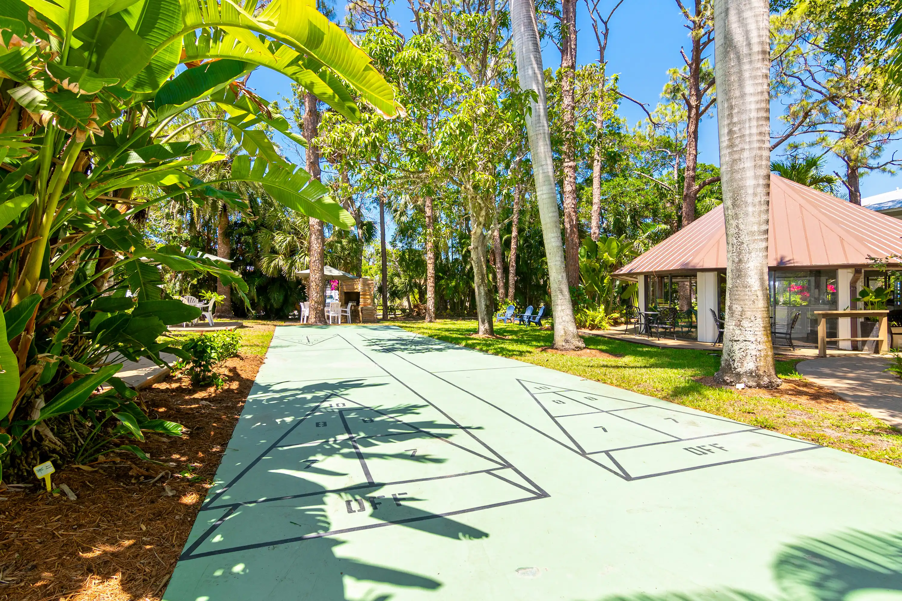 Shuffleboard Court
