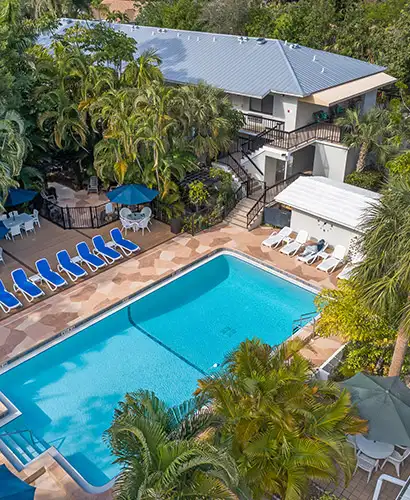 Aerial View of Swimming Pool