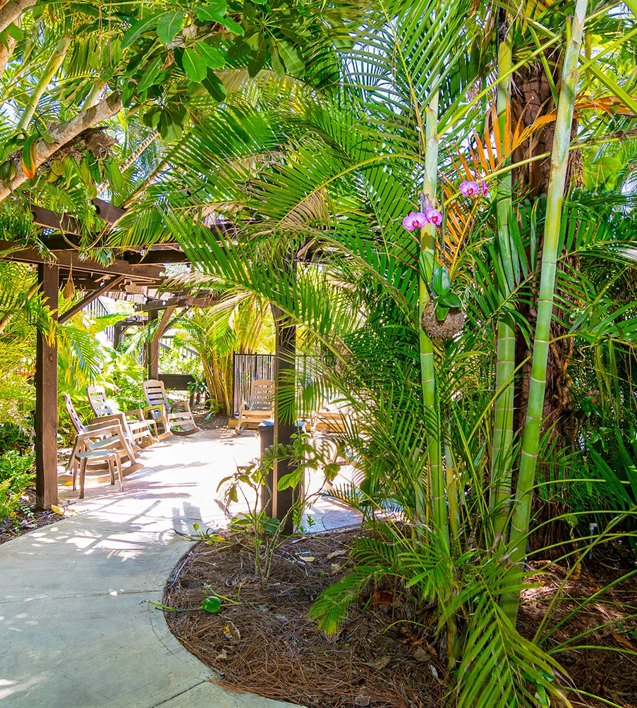 Garden Pathway