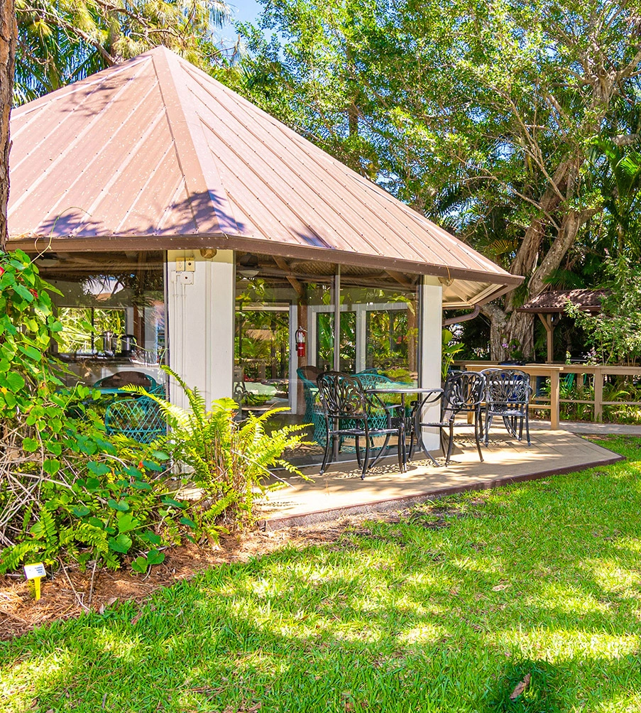 Outdoor Oasis
