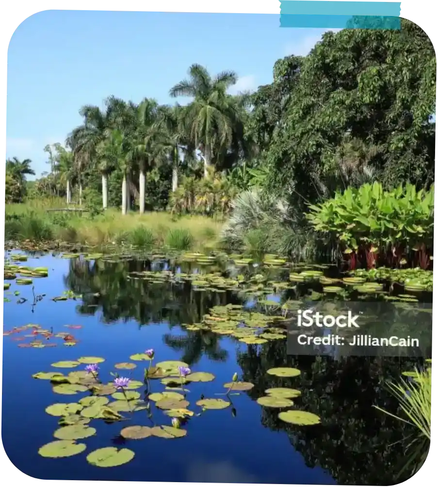 naples-botanical-garden